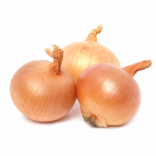 Cebolla
