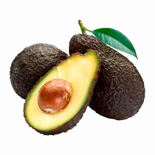 Palta